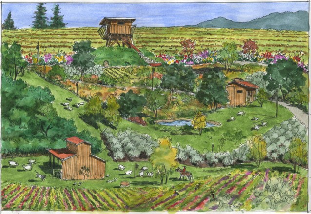 Dolan’s biodynamic farm, including vineyard. Image courtesy of Paul Dolan.