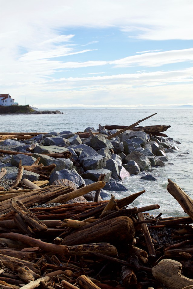 cdubProject2016 405 (1)