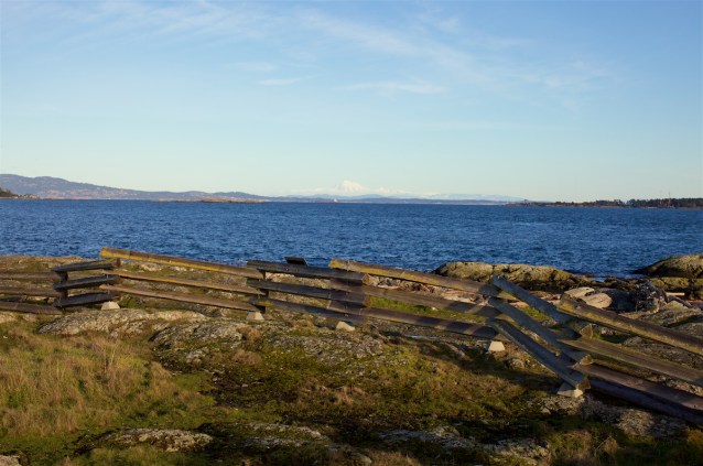 cdubProject2016 405.jpg