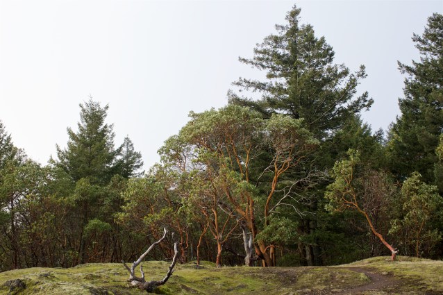 cdubProject2016 407.jpg