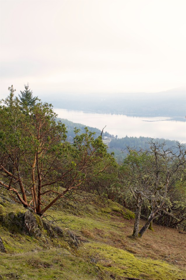 cdubProject2016 408.jpg